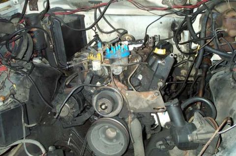 1985 Ford Bronco - Just about ready for pickin