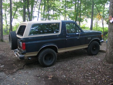 1995 Ford Bronco - This Ford Bronco is parked in a wooded area with a spare tire on the rear.