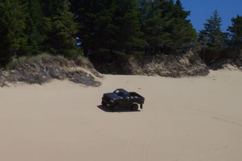 1994 Ford F-150 - A dark blue pickup truck drives across sandy terrain with trees in the background.
