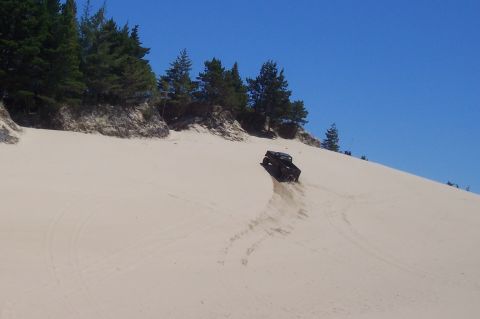 1994 Ford F-150 - A dark pickup truck navigates a steep sand dune on a sunny day, leaving tracks in the sand.