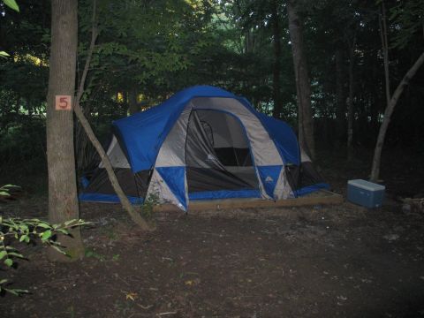 1995 Ford Bronco - A blue and gray tent is pitched at a campsite in a wooded area, with a cooler to the right.