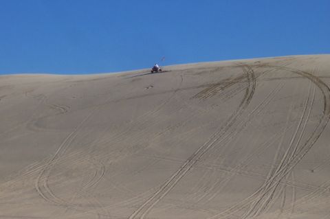1994 Ford F-150 - An ATV is driven on a sand dune, leaving tire tracks in the sand under a clear blue sky.