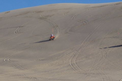 1994 Ford F-150 - An ATV navigates a sandy dune, leaving a trail of tire marks under a clear blue sky.