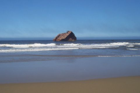 1994 Ford F-150 - A shipwreck rests in the ocean waves near a sandy beach under a clear blue sky.