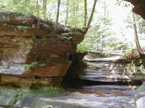 1994 Ford Probe - A natural scene of layered rock formations covered in moss and surrounded by trees.