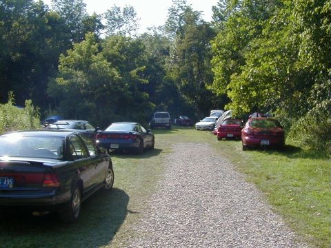 1994 Ford Probe - A collection of vehicles are parked outdoors on a sunny day, with trees and foliage surrounding the area.