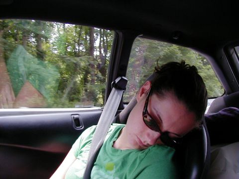 1994 Ford Probe - Passenger naps while traveling through a wooded area, seen from inside the vehicle.