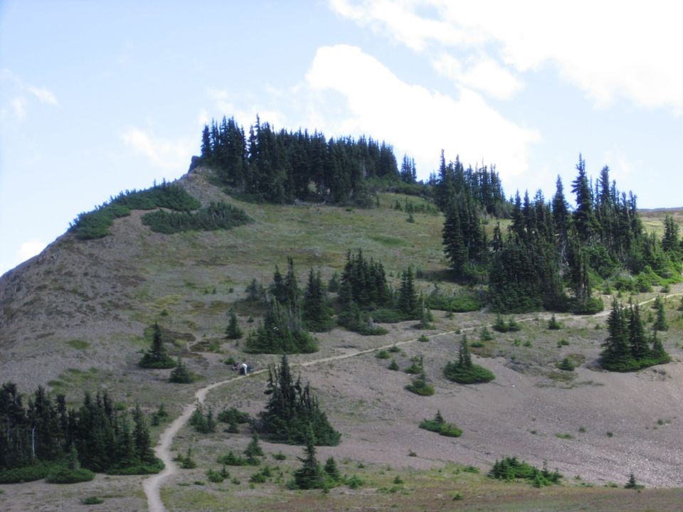 Alpine hillside with a footpath and scattered evergreens under a blue sky