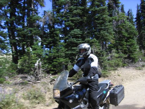 1997 BMW F650 - Rider on a 1997 BMW F650 motorcycle navigates a dirt road through a forest.