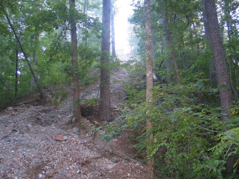 1995 Ford Bronco - A wooded area with a rough, rocky path winding up a slope.