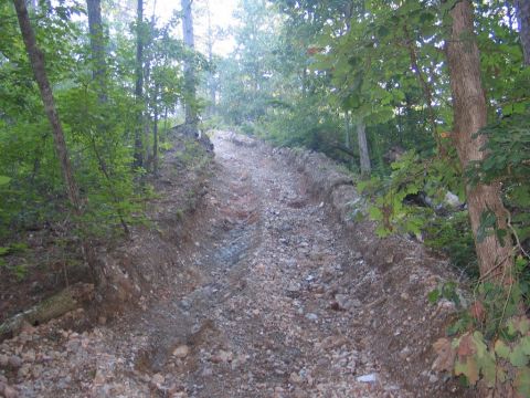 1995 Ford Bronco - A rough, rocky trail winds uphill through a forest with trees on either side.