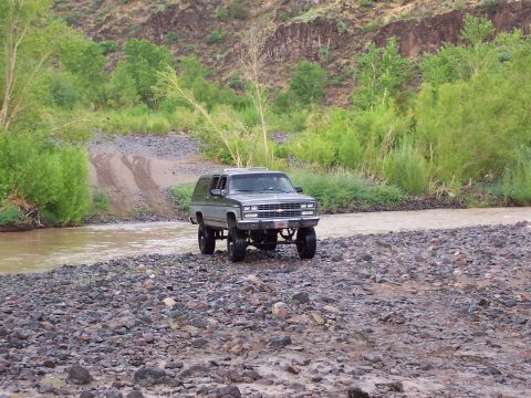 1981 Ford F-150 - Jared's suburban