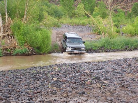 1981 Ford F-150 - Free Willy!!!!