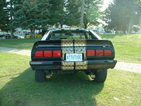 1978 Ford Mustang II - Rear view of a black 1970s Ford Mustang II with a distinctive gold scale pattern stripe and a custom license plate.
