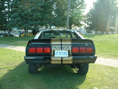 1978 Ford Mustang II - This car features a distinctive gold stripe with a snake scale pattern and a personalized license plate.