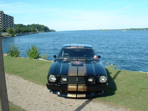 1978 Ford Mustang II - 1978 Ford Mustang II Cobra II parked by the water under a clear blue sky.