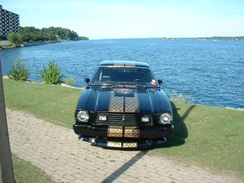 1978 Ford Mustang II - A black coupe with gold racing stripes sits by the water on a sunny day.