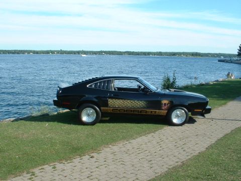 1978 Ford Mustang II - A black 1970s coupe with a distinctive cobra graphic is parked near a waterfront on a sunny day.