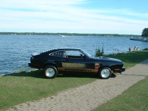 1978 Ford Mustang II - A black 1978 Cobra II with distinctive gold snake graphics and a Cobra emblem parked by the water.