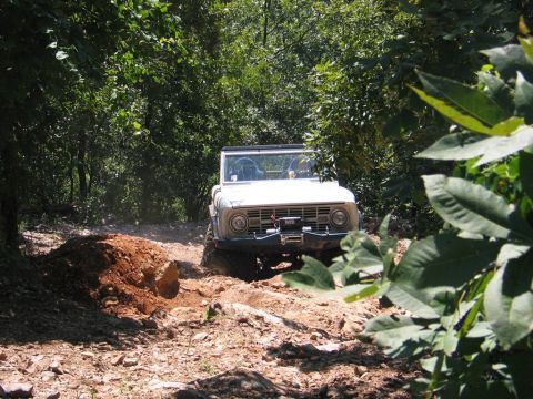 1995 Ford Bronco - A white 1975 Ford Bronco navigates a challenging off-road trail surrounded by dense foliage.