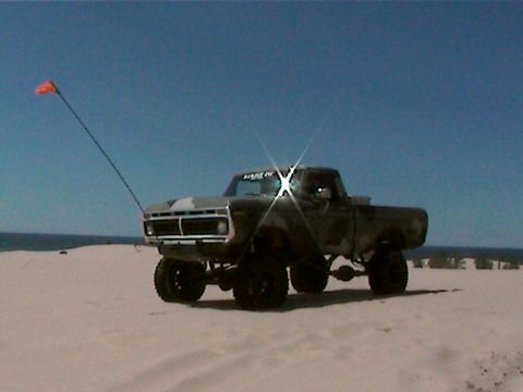 1977 Ford F-150 - dunes