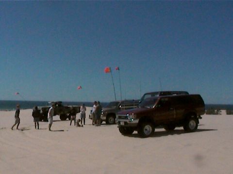1977 Ford F-150 - A group of vehicles and people gather on a beach under a clear blue sky, with kites flying in the distance.