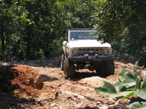 1995 Ford Bronco - First-gen Ford Bronco navigates a challenging off-road path with dense foliage surrounding it.