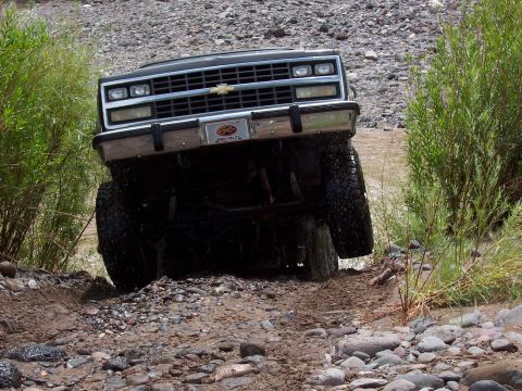 1981 Ford F-150 - Airborne