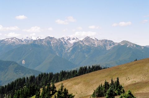 1997 BMW F650 - A vast mountain landscape with snow-dusted peaks dominates the background, while a verdant forest lines the lower slopes.