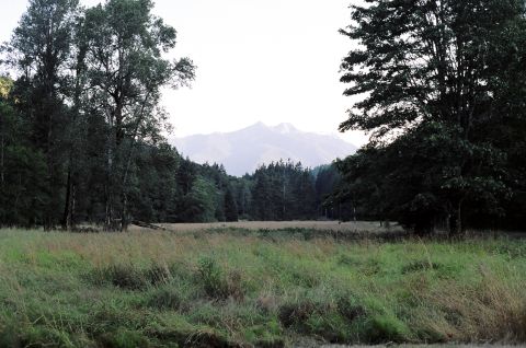 1997 BMW F650 - Mountain landscape with trees and a grassy field in the foreground.