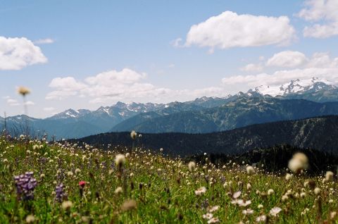 1997 BMW F650 - A scenic view of mountains and wildflowers under a partly cloudy sky.