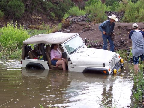 1981 Ford F-150 - Taking in water
