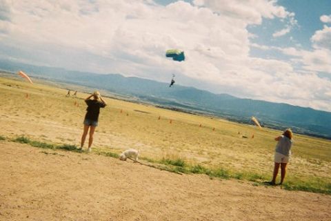 1972 Ford Ranchero - A skydiver is in the air above a scenic landscape with people and a dog on the ground.