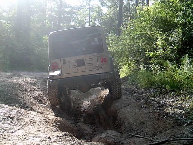 Rear of tan Wrangler flexing over a deep washed-out rut on a sunlit forest trail