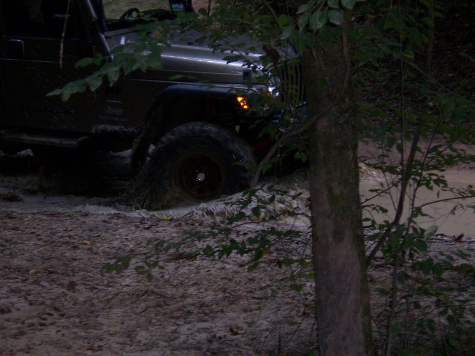 Jeep Wrangler in dim light dropping into a sandy rut behind trees