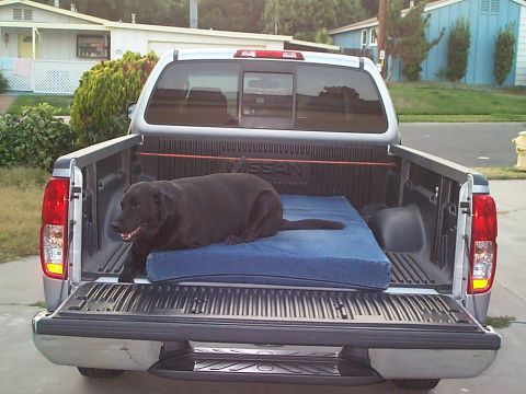 2005 Nissan Frontier - A black dog rests on a mattress in the bed of a silver Nissan Frontier pickup truck.