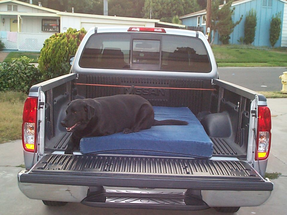 Silver 2005 Nissan Frontier pickup truck rear view with tailgate down, black dog on blue mattress in bed