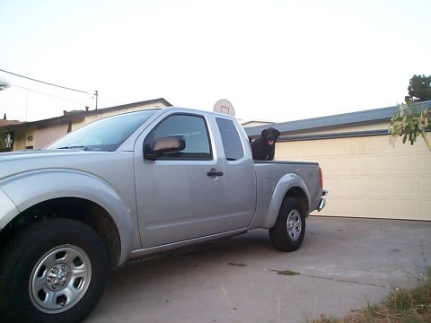 2005 Nissan Frontier - A silver 2005 Nissan Frontier pickup truck is parked in front of a garage with a black dog riding in the truck bed.