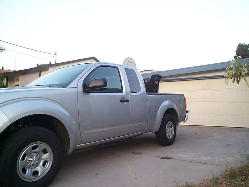 Silver 2005 Nissan Frontier pickup truck side view with a dog in the bed
