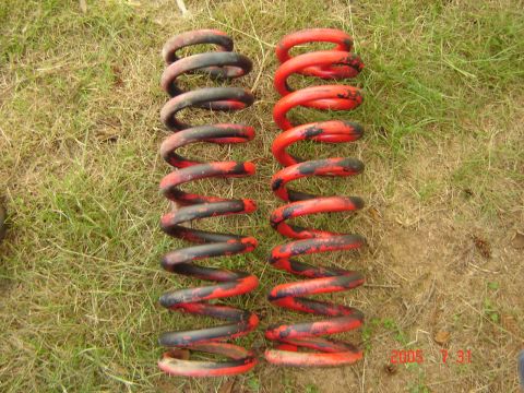 1993 Ford Bronco - Pair of suspension springs shown on grassy ground.