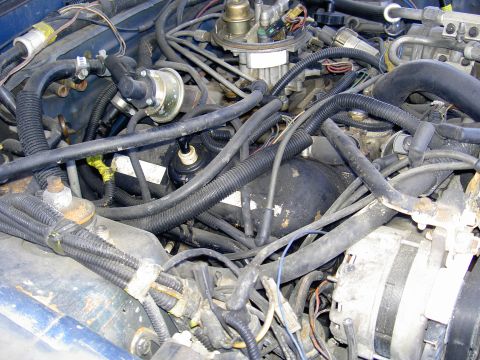 1982 Ford Mustang - Engine bay details showing a complex arrangement of hoses, wires, and engine components.