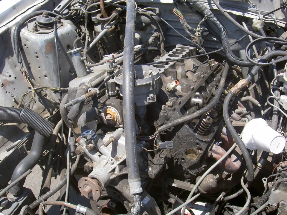 Engine bay with visible engine components, hoses, and wiring