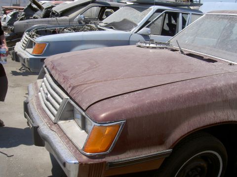 1982 Ford Mustang - A maroon car's front end is visible in the foreground, with other vehicles in a junkyard behind it.