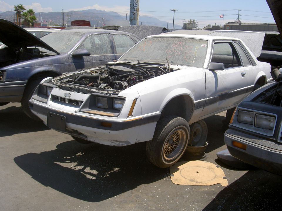 White 1982 Ford Mustang coupe, front end visible, hood open, missing front wheel, in junkyard