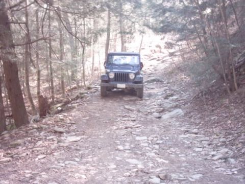 1991 Ford Bronco - Bobby's stock jeep