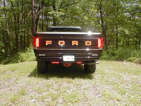 1991 Ford F-150 - Rear view of a 1991 Ford F-150 parked in a wooded area.