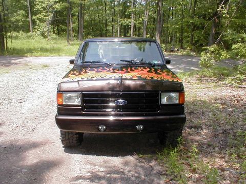 1991 Ford F-150 - A brown Ford F-150 truck with flame decals on the hood is parked outdoors on a gravel road.