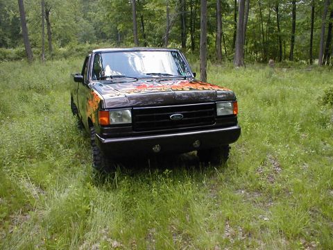 1991 Ford F-150 - A dark-colored Ford F-150 truck with flame graphics on the hood sits in a wooded area.