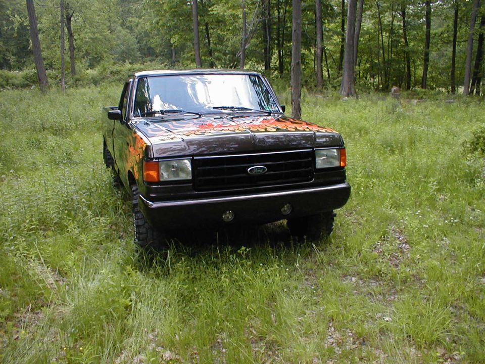 Black Ford F-150 truck with custom hood graphics, parked in grassy woods