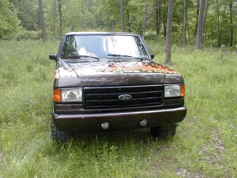 1991 Ford F-150 - A brown 1991 Ford F-150 truck with flame decals on the hood is parked in a grassy, wooded area.
